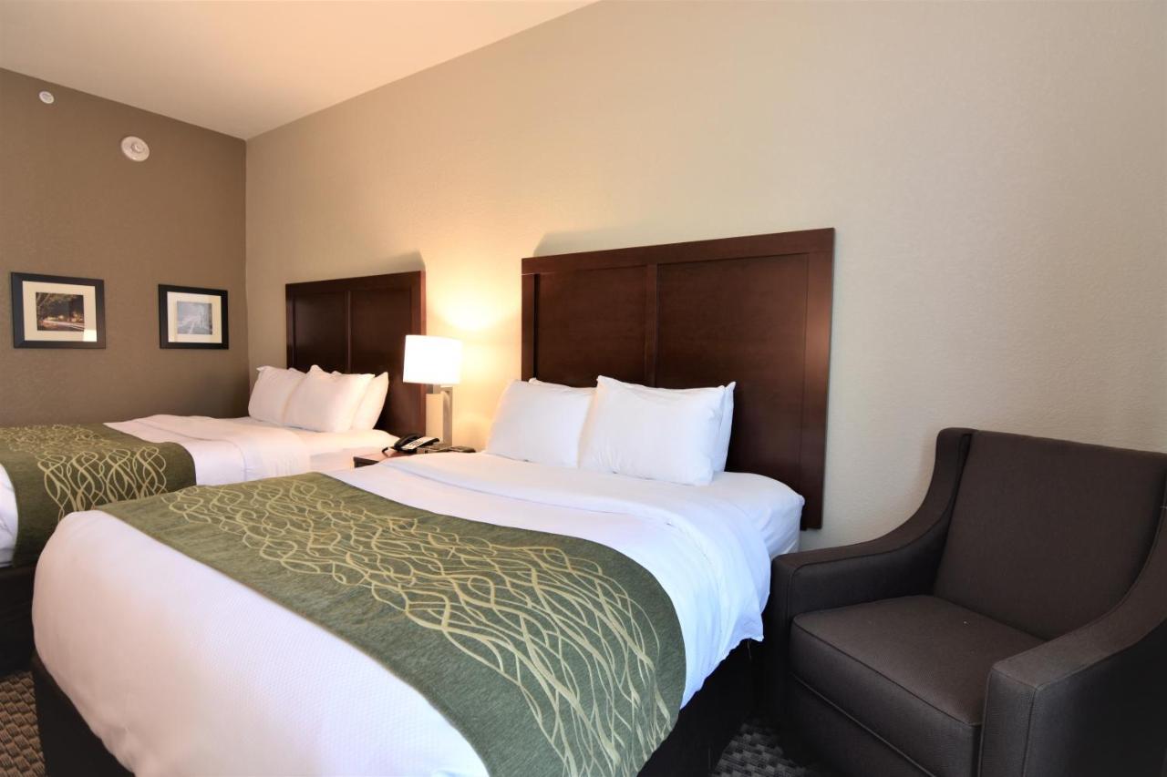 Comfort Inn & Suites Rock Hill Ngoại thất bức ảnh