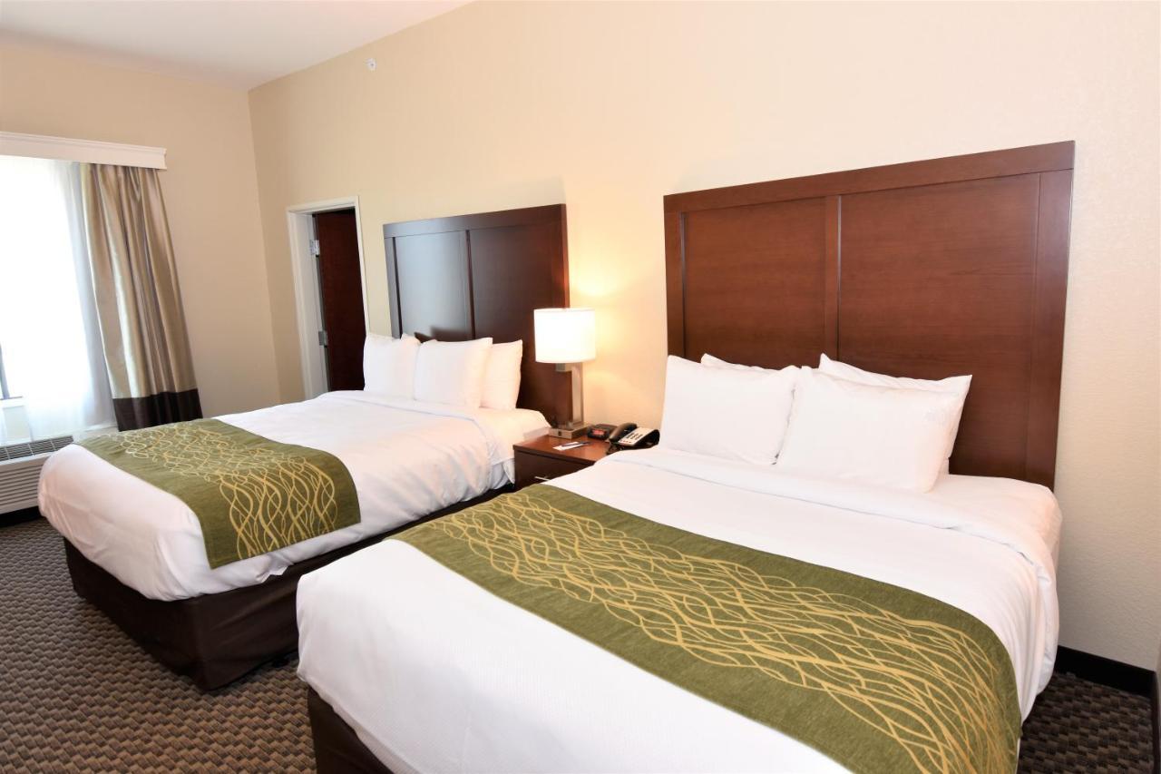 Comfort Inn & Suites Rock Hill Ngoại thất bức ảnh