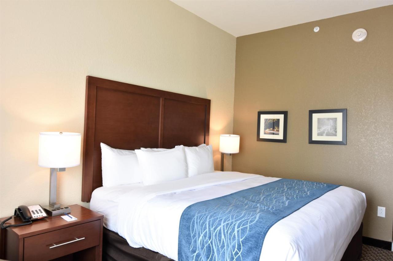 Comfort Inn & Suites Rock Hill Ngoại thất bức ảnh